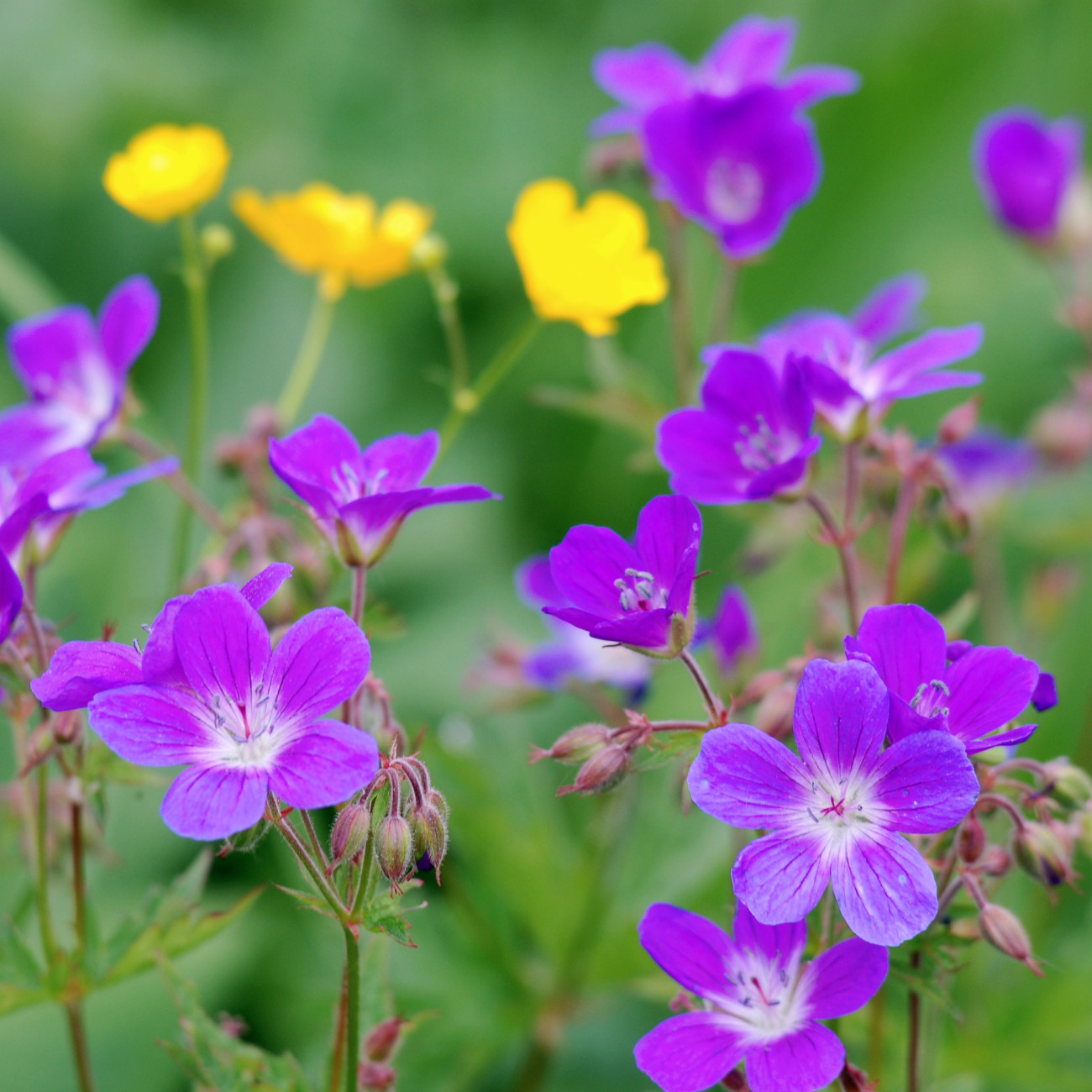 stufen-des-lebens-evang-luth-kirchengemeinde-laufen